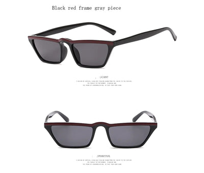 Eyebrow Sunglasses, Sunglasses, Small Frame Shades