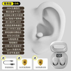 Mini Pro4SS Invisible True Wireless Bluetooth Earbuds